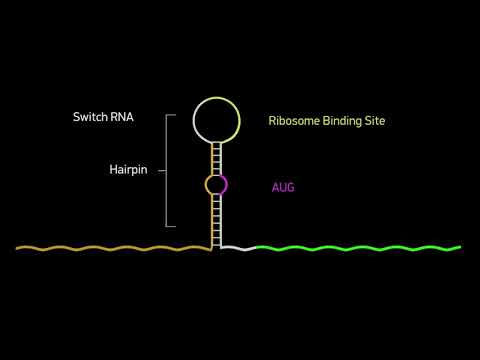 iGEM Thessaloniki Promotion Video METIS - Greek version