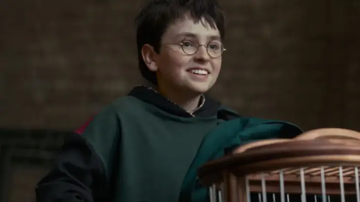 harry potter
